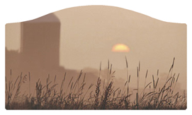 DASHELL-334-BZ Harvest Sunrise Bronze